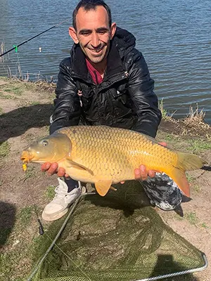 Шаран 6