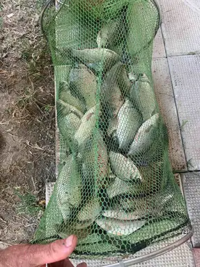 Каракуда 4